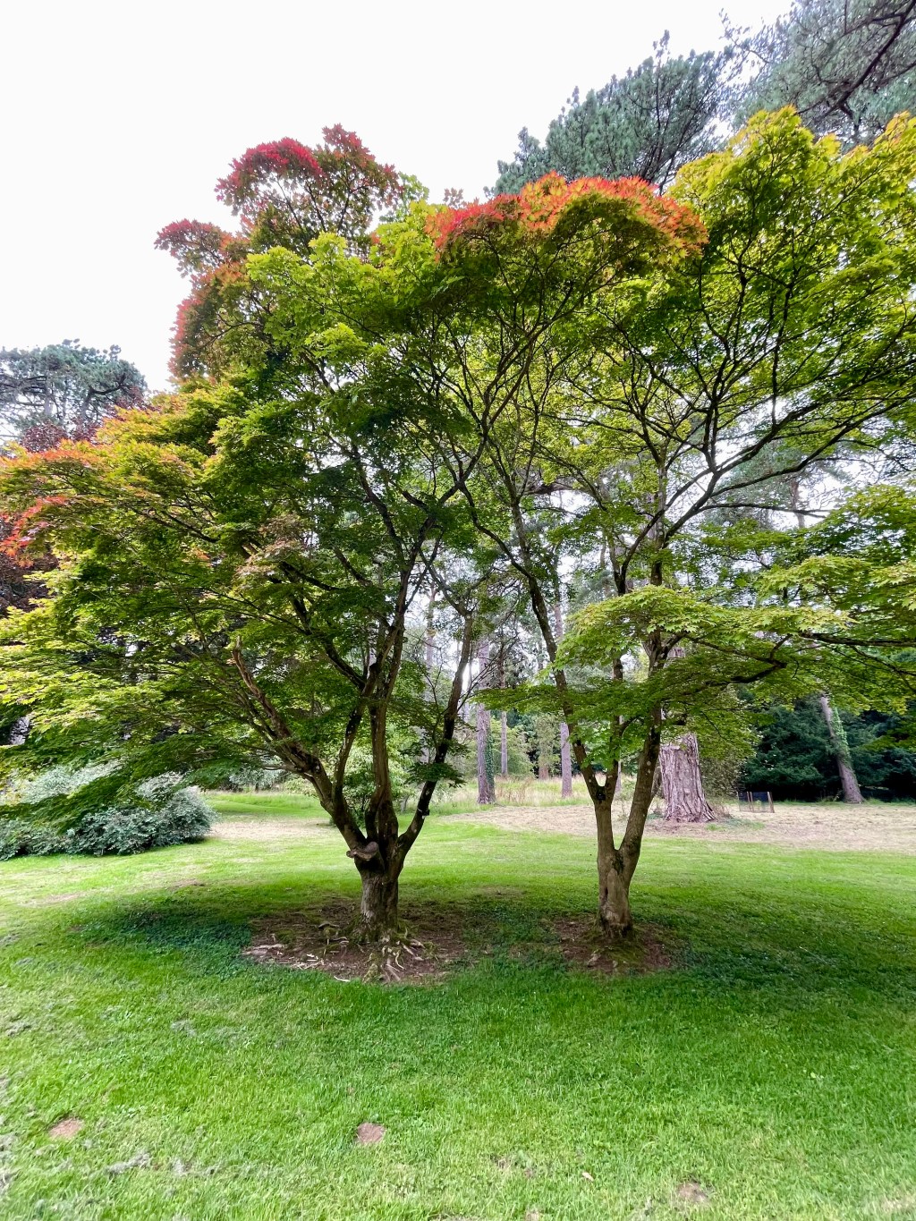 Does your canopy of work make&nbsp;sense?